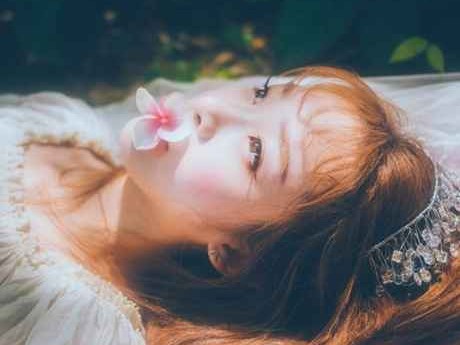 森系整理全指南 打造你的自然治愈空间