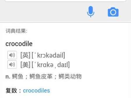 揭秘鳄鱼的英文世界：不止是凶猛的爬行动物