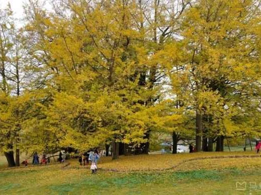 揭秘一棵树品牌 家具背后的实木匠心