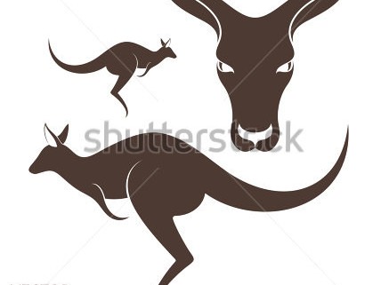 袋鼠品牌大盘点 别再傻傻分不清