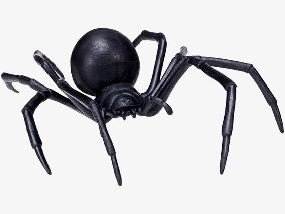 蜘蛛图案服装品牌全解析